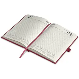Altitude Advantage A5 2026 Diary & Cypher Pen Set Day A Day Entries